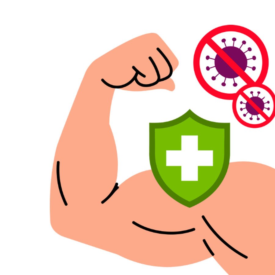 Stronger-Immunity-&-Hormones Accelerated Muscle Growth