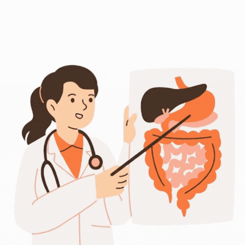 Digestion Accelerated Muscle Growth