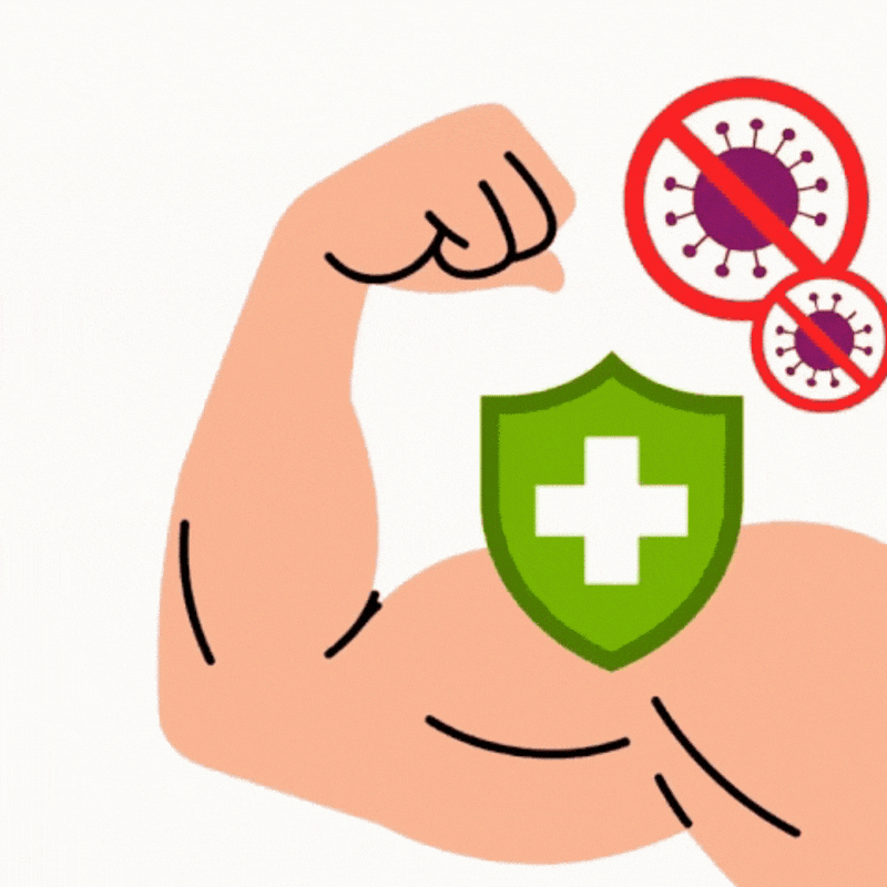 immunity Accelerated Muscle Growth